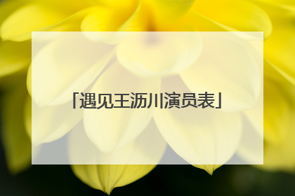 遇见王沥川演员表