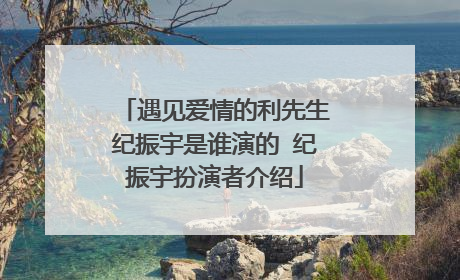 遇见爱情的利先生纪振宇是谁演的 纪振宇扮演者介绍