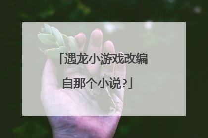 遇龙小游戏改编自那个小说?
