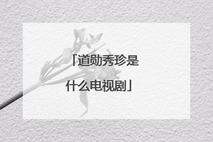 道勋秀珍是什么电视剧