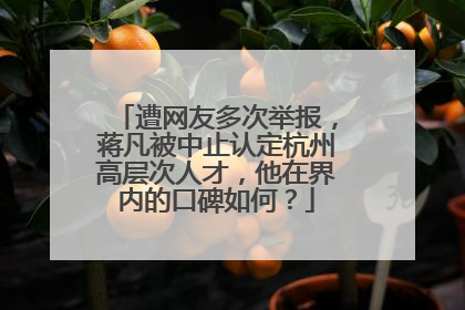 遭网友多次举报，蒋凡被中止认定杭州高层次人才，他在界内的口碑如何？
