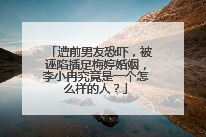 遭前男友恐吓,被诬陷插足梅婷婚姻,李小冉究竟是一个怎么样的人?