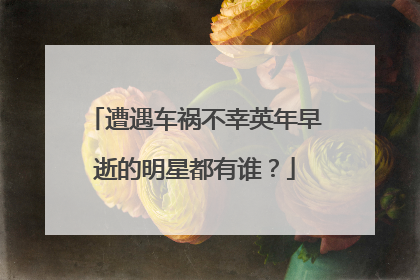 遭遇车祸不幸英年早逝的明星都有谁？