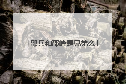 邵兵和邵峰是兄弟么