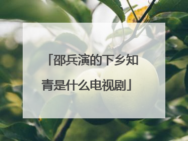 邵兵演的下乡知青是什么电视剧