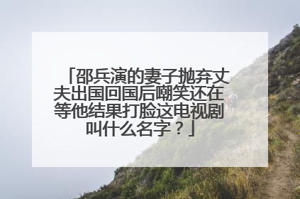 邵兵演的妻子抛弃丈夫出国回国后嘲笑还在等他结果打脸这电视剧叫什么名字？