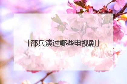 邵兵演过哪些电视剧