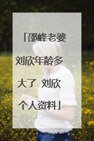 邵峰老婆刘欣年龄多大了 刘欣个人资料