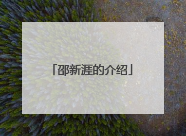 邵新涯的介绍
