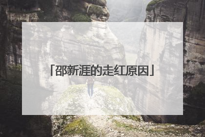 邵新涯的走红原因