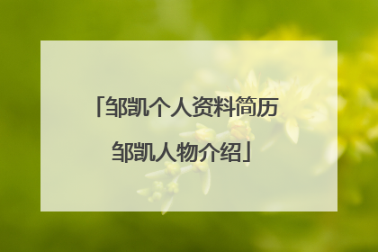 邹凯个人资料简历 邹凯人物介绍