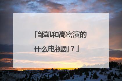 邹凯和高密演的什么电视剧?