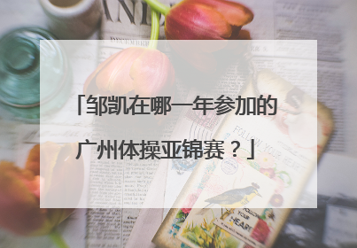 邹凯在哪一年参加的广州体操亚锦赛？