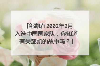 邹凯在2002年2月入选中国国家队,你知道有关邹凯的故事吗?