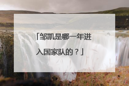 邹凯是哪一年进入国家队的?