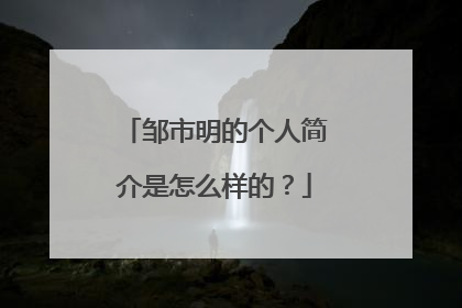 邹市明的个人简介是怎么样的?