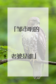 邹市明的老婆是谁