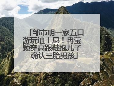 邹市明一家五口游玩迪士尼！冉莹颖穿高跟鞋抱儿子 确认三胎男孩