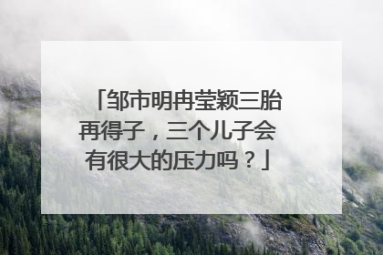 邹市明冉莹颖三胎再得子，三个儿子会有很大的压力吗？