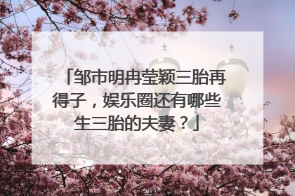 邹市明冉莹颖三胎再得子，娱乐圈还有哪些生三胎的夫妻？