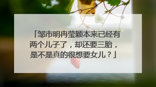 邹市明冉莹颖本来已经有两个儿子了，却还要三胎，是不是真的很想要女儿？
