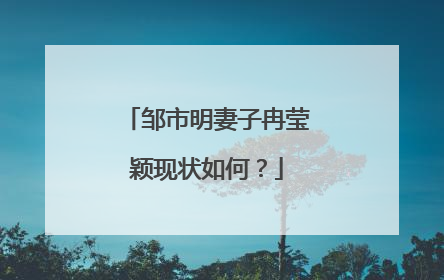 邹市明妻子冉莹颖现状如何？