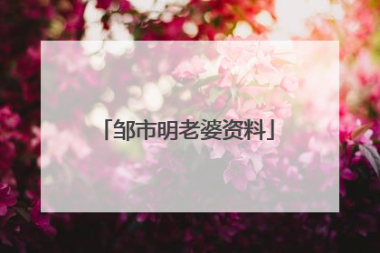 邹市明老婆资料