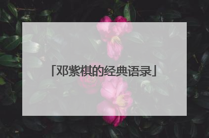 邓紫棋的经典语录