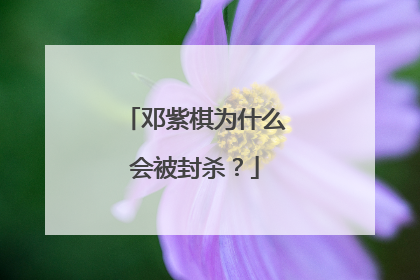 邓紫棋为什么会被封杀?