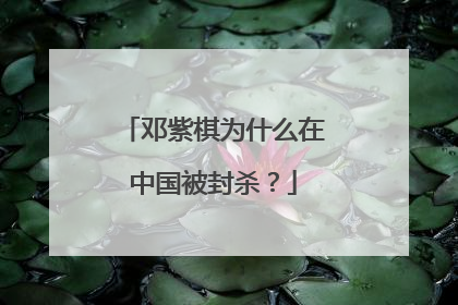 邓紫棋为什么在中国被封杀？