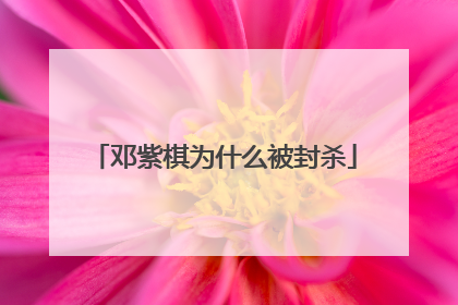 邓紫棋为什么被封杀