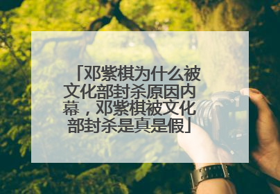 邓紫棋为什么被文化部封杀原因内幕，邓紫棋被文化部封杀是真是假