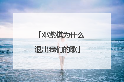 邓紫棋为什么退出我们的歌