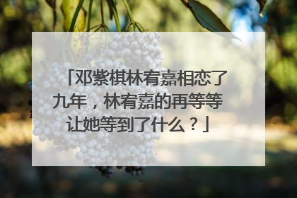 邓紫棋林宥嘉相恋了九年，林宥嘉的再等等让她等到了什么？