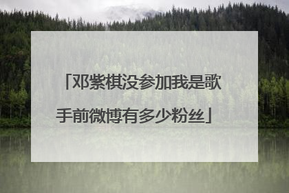 邓紫棋没参加我是歌手前微博有多少粉丝