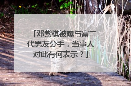 邓紫棋被曝与富二代男友分手，当事人对此有何表示？