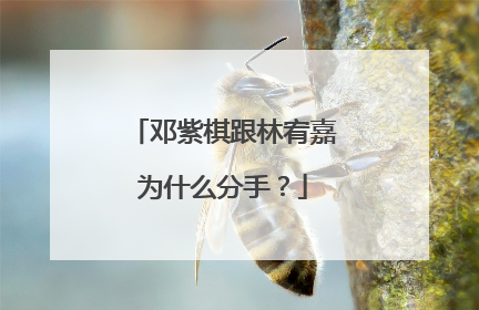 邓紫棋跟林宥嘉为什么分手？