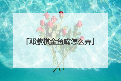 邓紫棋金鱼嘴怎么弄