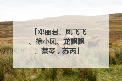 邓丽君、凤飞飞、徐小凤、龙飘飘、蔡琴，苏芮