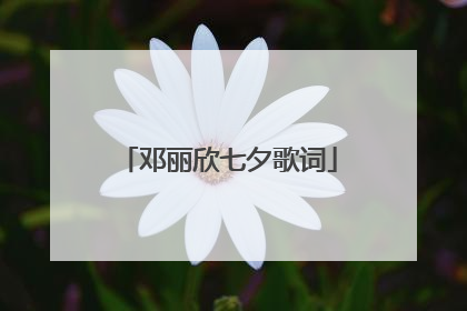 邓丽欣七夕歌词
