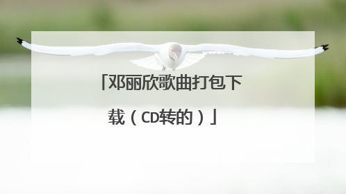 邓丽欣歌曲打包下载（CD转的）