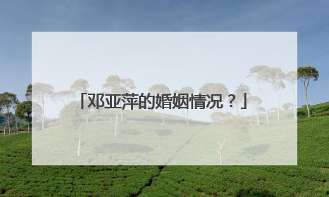 邓亚萍的婚姻情况？