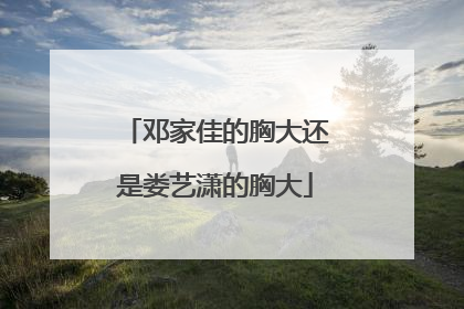 邓家佳的胸大还是娄艺潇的胸大