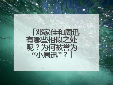 邓家佳和周迅有哪些相似之处呢?为何被誉为“小周迅”?