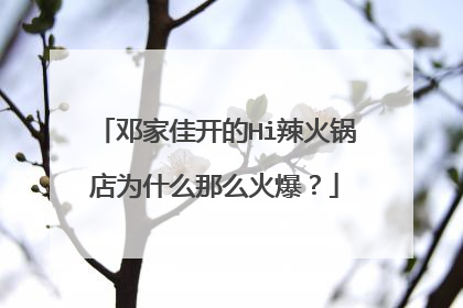 邓家佳开的Hi辣火锅店为什么那么火爆？