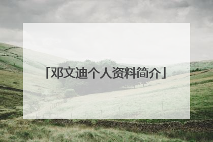 邓文迪个人资料简介