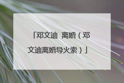 邓文迪 离婚(邓文迪离婚导火索)