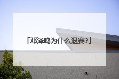 邓泽鸣为什么退赛?