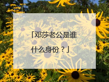 邓莎老公是谁什么身份？