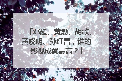 邓超、黄渤、胡歌、黄晓明、孙红雷,谁的影视成就最高?